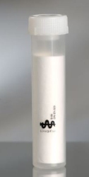 Versandcontainer 60 ml 126 x 30 mm Saugeinlage