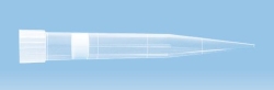 Filterspitze, 1000 µl, PCR Performance Tested